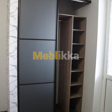 шкаф-купе, зеркало графит, встроенная мебель