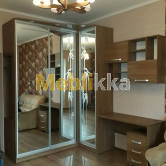 Шкаф-купе в Харькове под заказ недорого