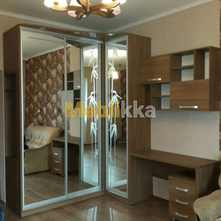 Шкаф-купе в Харькове под заказ недорого